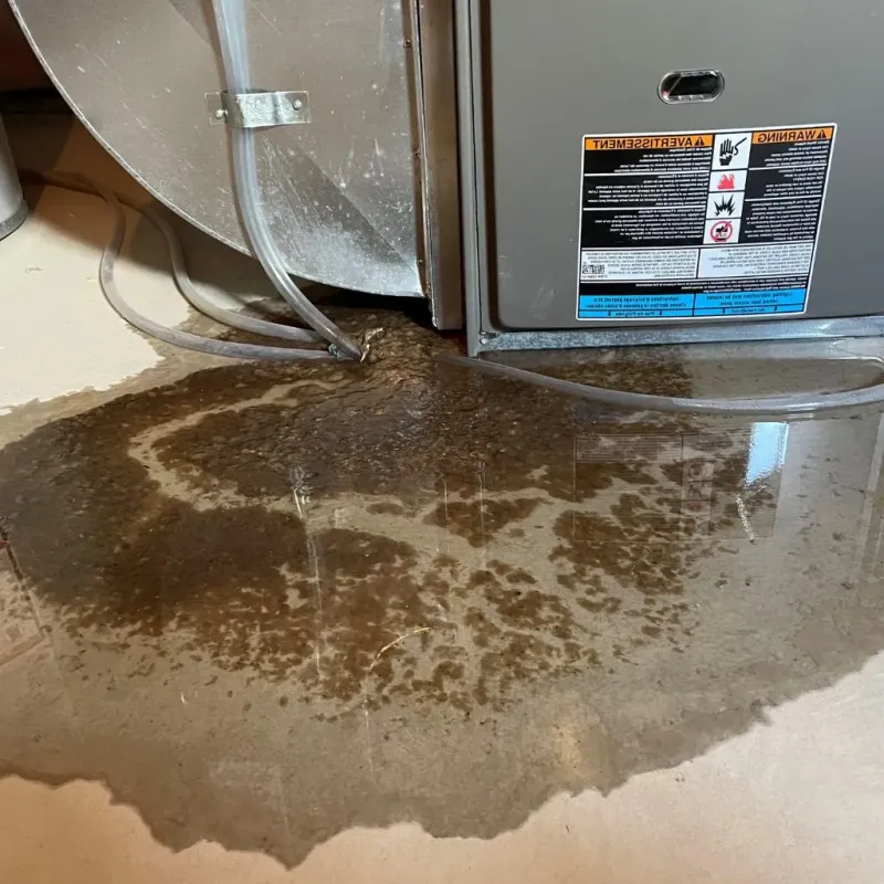 Pipe Burst and Leak Restoration in Ralls County, MO