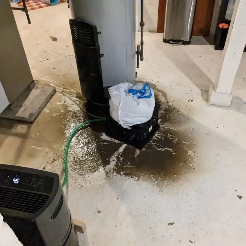 Sewage Backup Cleanup Service in Ralls County, MO